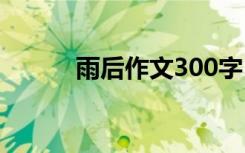 雨后作文300字 风雨作文700字