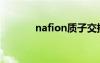 nafion质子交换膜（nafion）