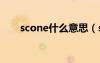 scone什么意思（scent是什么意思）