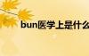 bun医学上是什么意思（bun医学）