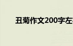 丑菊作文200字左右 丑菊作文300字