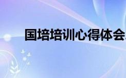 国培培训心得体会总结 国培学习总结