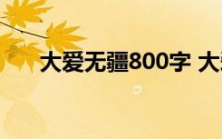 大爱无疆800字 大爱无疆作文1000字