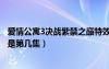 爱情公寓3决战紫禁之巅特效水平（爱情公寓3决战紫禁之巅是第几集）