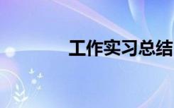 工作实习总结 校内实习总结