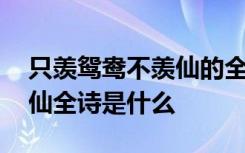 只羡鸳鸯不羡仙的全诗是什么 只羡鸳鸯不羡仙全诗是什么