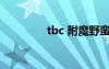 tbc 附魔野蛮（野心附魔）