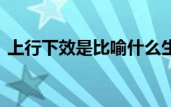 上行下效是比喻什么生肖 上行下效成语解释