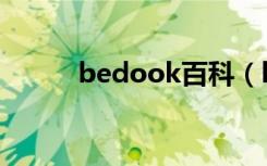 bedook百科（bedook好用吗）