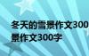 冬天的雪景作文300字三年级上册 冬天的雪景作文300字