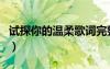 试探你的温柔歌词完整版（试探你的温柔歌词）