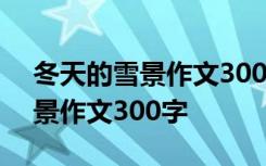 冬天的雪景作文300字三年级上册 冬天的雪景作文300字