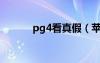 pg4看真假（苹果4s真假查询）