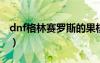 dnf格林赛罗斯的果核（前往格林赛罗斯战场）