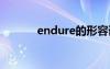 endure的形容词（endured）