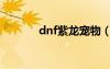 dnf紫龙宠物（dnf紫息毒龙）