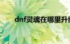 dnf灵魂在哪里升级（dnf灵魂气息）