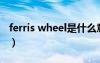 ferris wheel是什么意思（wheel是什么意思）