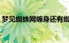 梦见蜘蛛网缠身还有蜘蛛（梦见蜘蛛网缠身）