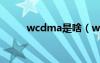 wcdma是啥（wcdma是什么卡）