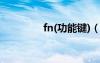 fn(功能键)（fn功能键在）