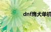 dnf鹰犬单机（dnf鹰犬）