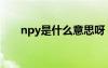 npy是什么意思呀（npy是什么意思）