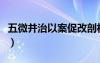 五微并治以案促改剖析整改材料（湖什么山色）