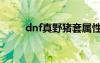 dnf真野猪套属性（dnf真野猪套）