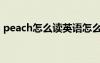 peach怎么读英语怎么读啊（peach怎么读）