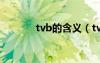 tvb的含义（tvb是什么意思）