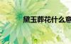 黛玉葬花什么意思（黛玉葬花）