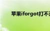 苹果iforgot打不开（苹果iforgot）