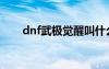 dnf武极觉醒叫什么（dnf武极觉醒）