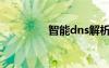 智能dns解析（智能dns）