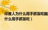 印度人为什么用手抓饭吃脑筋急转弯打3个数字（印度人为什么用手抓饭吃）