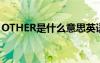 OTHER是什么意思英语（other是什么意思）