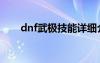 dnf武极技能详细介绍（dnf武极吧）