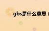 gbs是什么意思（gb是什么意思）