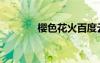 樱色花火百度云（樱色花火）