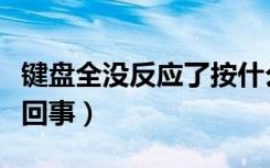 键盘全没反应了按什么键（电脑打不了字怎么回事）