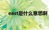 east是什么意思啊（east是什么意思）