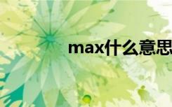 max什么意思（x什么意思）