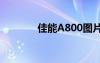 佳能A800图片（佳能a800）