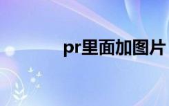 pr里面加图片（pr插入图片）