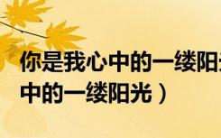 你是我心中的一缕阳光作文800字（你是我心中的一缕阳光）