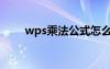 wps乘法公式怎么输入（wps乘法）