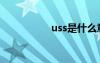 uss是什么意思（uss）