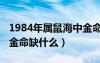 1984年属鼠海中金命五行缺什么（1984海中金命缺什么）