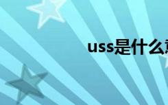 uss是什么意思（uss）